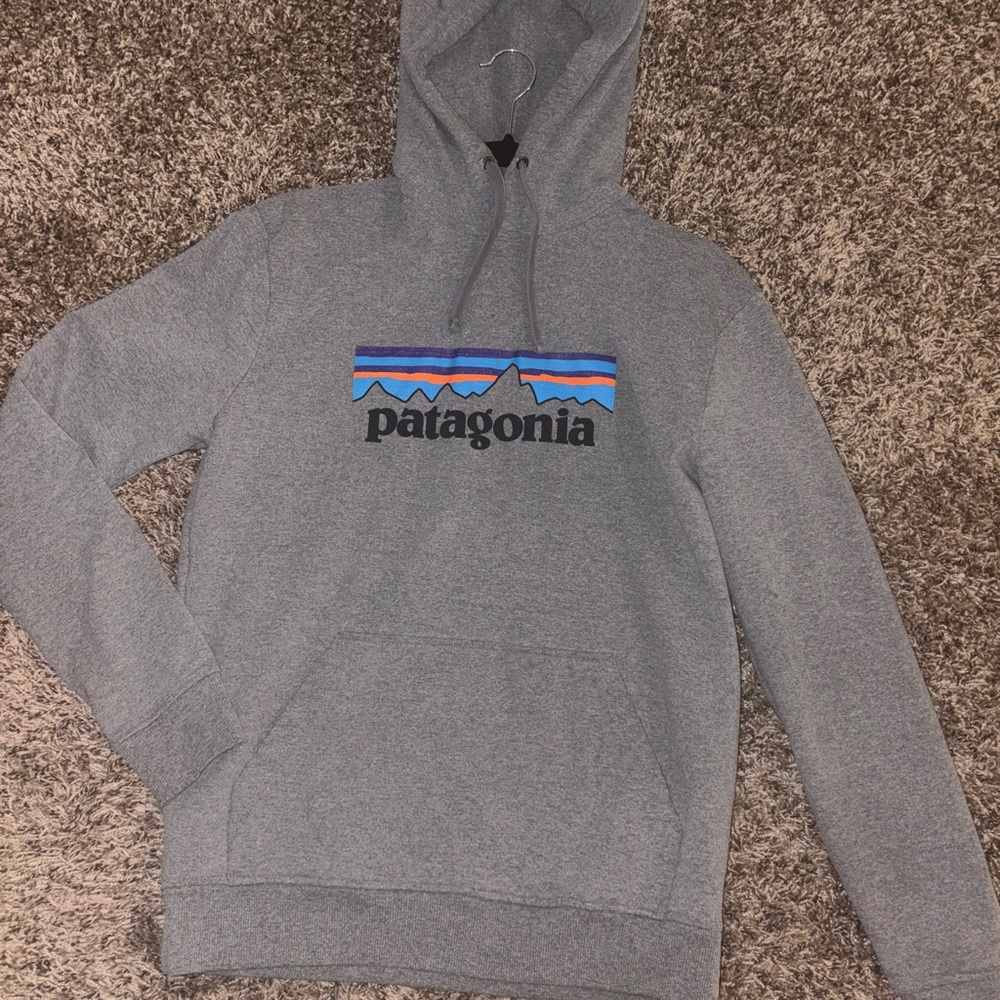 Patagonia Men's Gray Hoodie with Logo